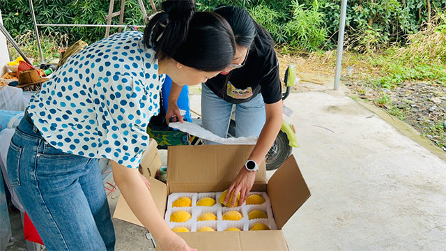 1694416424974845.png 6401.png