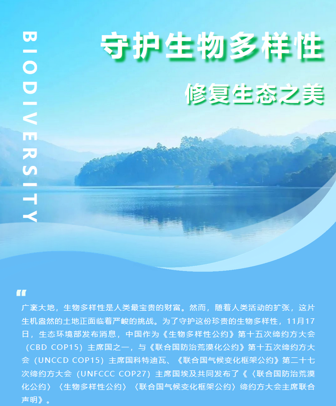 1701661546629639.png screenshot3.png