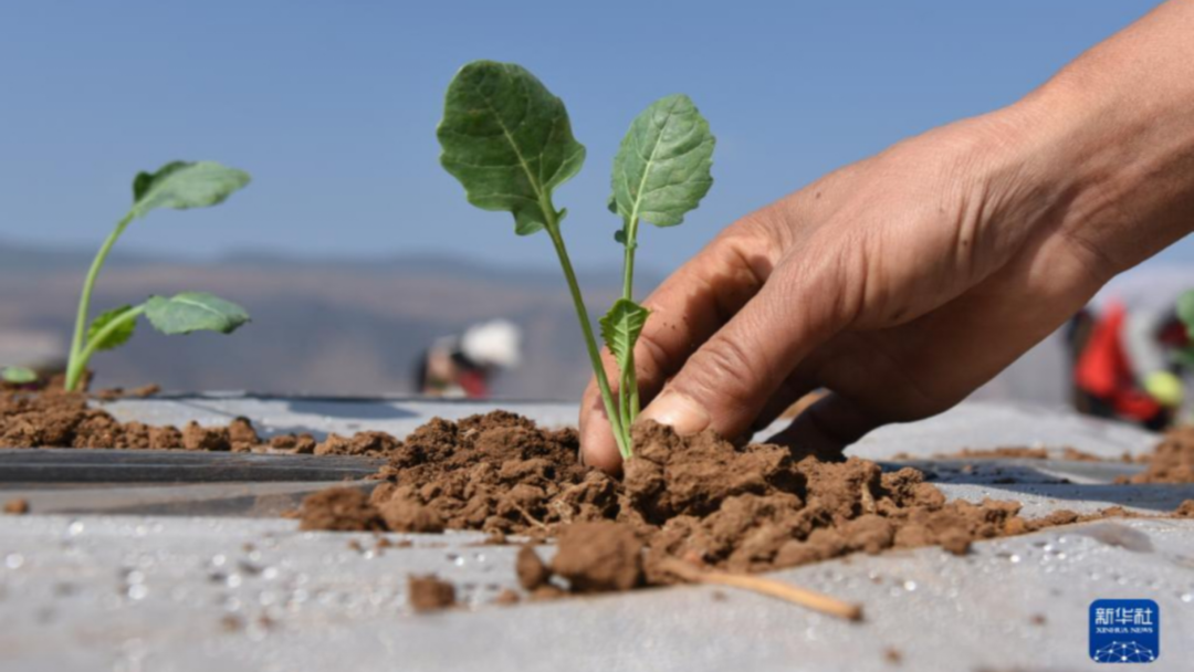 1701661804428618.png 5.png