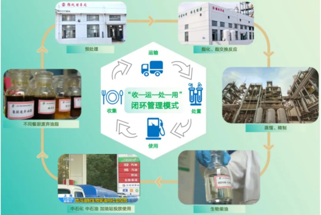 1701661897209347.jpg 8.jpg