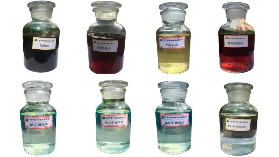 1702877915131694.jpg 5.jpg