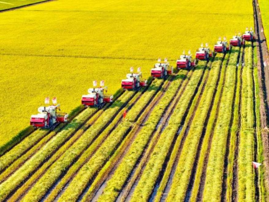 1705547880737144.png 640.png