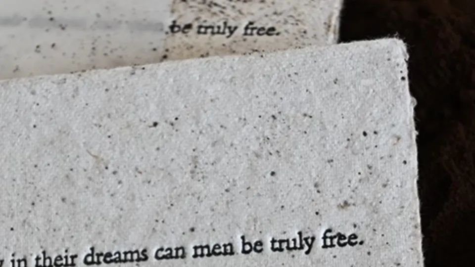 1707284874607370.jpg 7.jpg