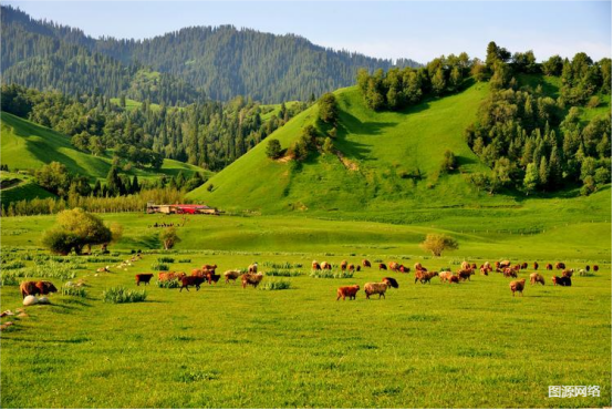 1709867430556123.png 3.png