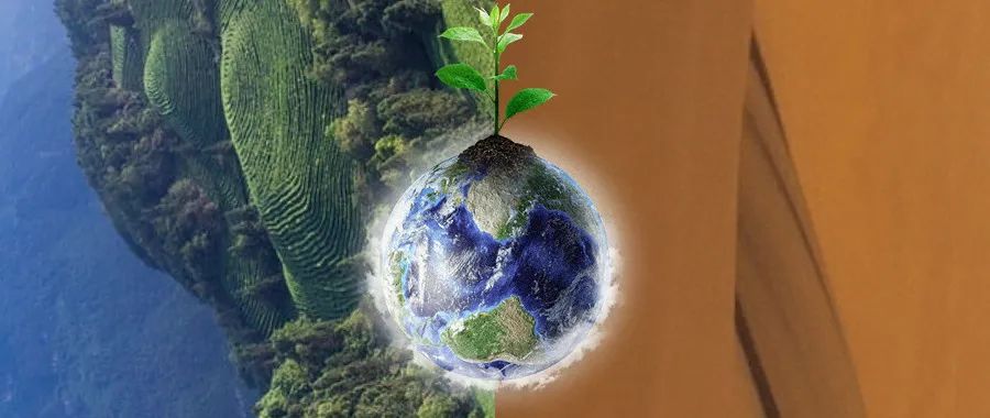 1715915433169547.jpg 5.jpg