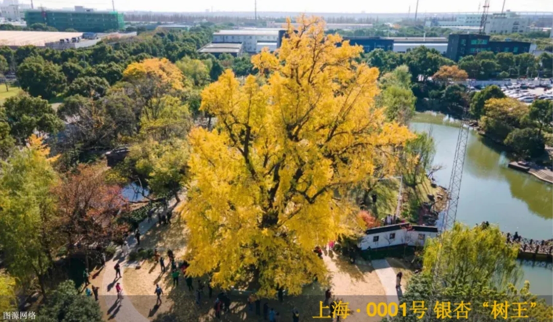 1733187521976611.png 微信截圖_20241203085318.png