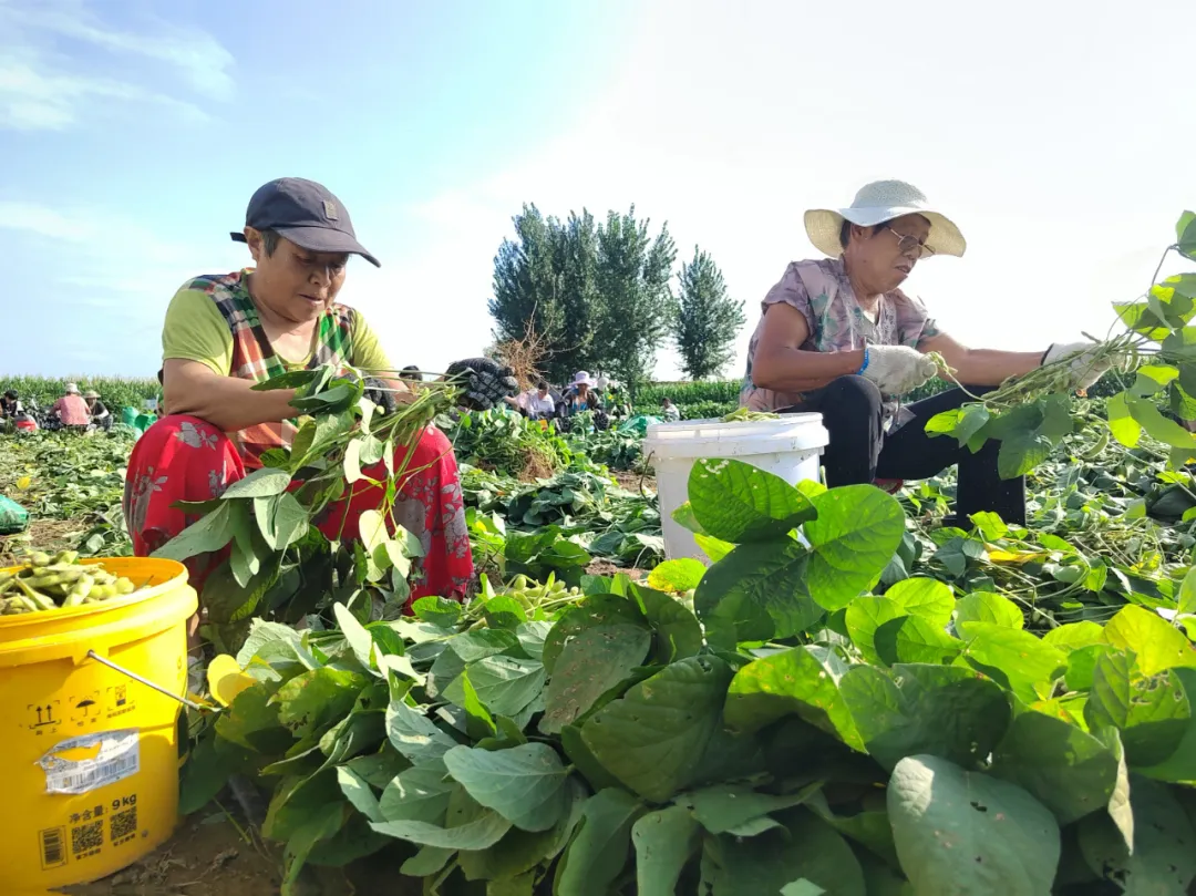 1736734283233044.png 3.png