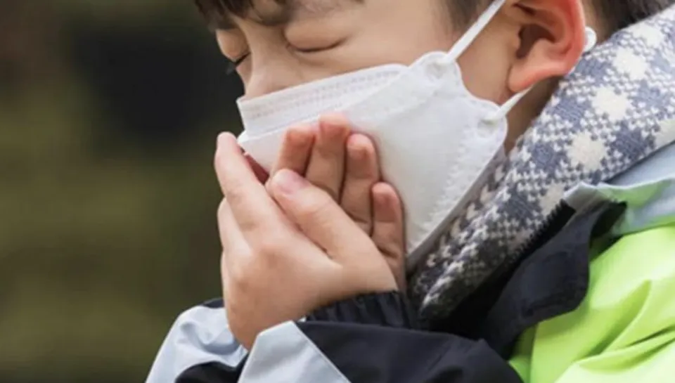 1736992991896574.png 1.png