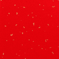 1738727270802937.gif 14.gif