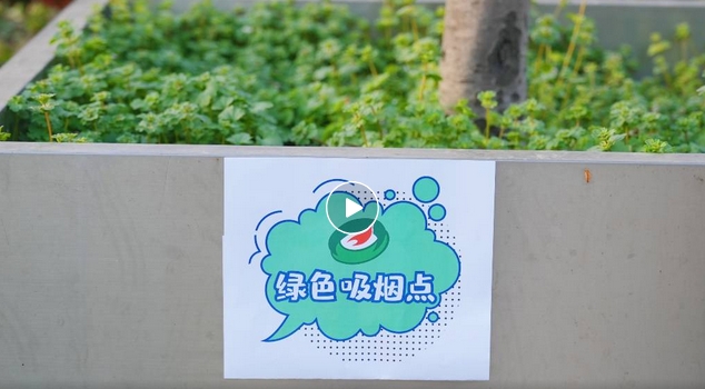 1744107500302171.png 44.png