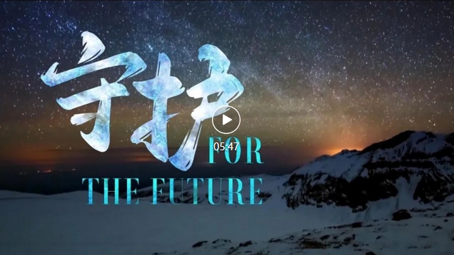 1751423579386617.png 3.png