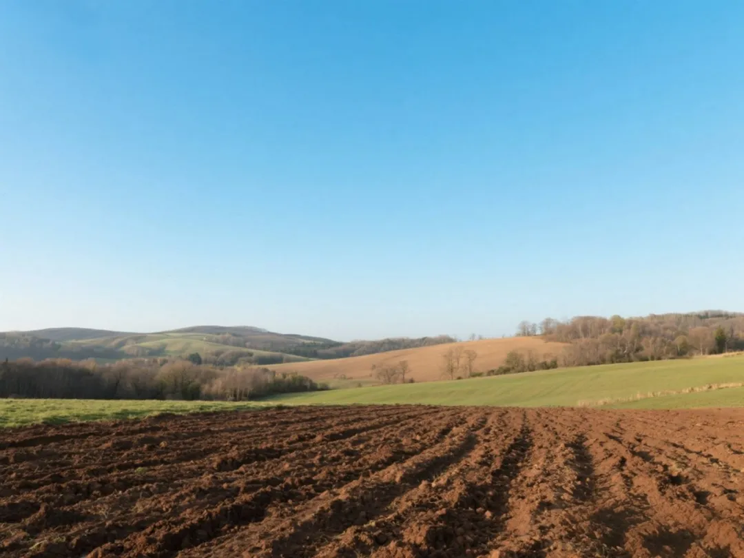 1754361264617337.png 4.png