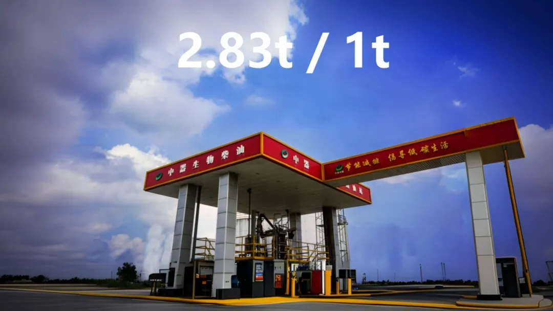 1759107840401019.jpg 640.jpg