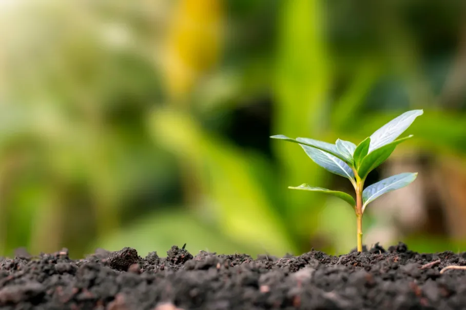 1762756838422195.png 1b529f4030a249afa76929827fa26371.png