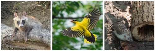 1763448644910794.png 聯想截圖_20251118135524.png