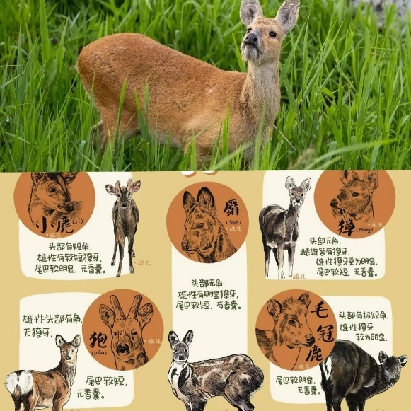 1763448796367463.png 3.png