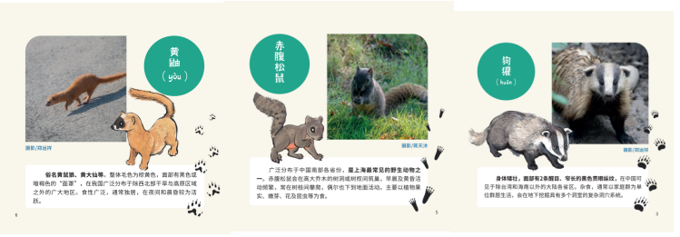 1763448845927737.png 聯想(xiǎng)截圖_20251118135618.png