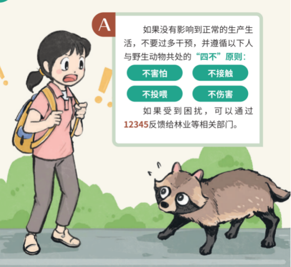 1763449221295498.png 圖片1.p.png