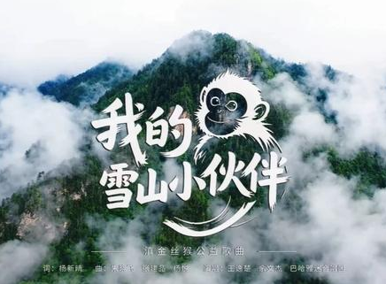 1763605343106625.png mv封(fēng)麵.png